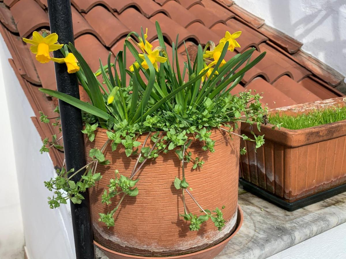 Rooftop Terrace Domus Dei Fabbri Venedig Eksteriør billede