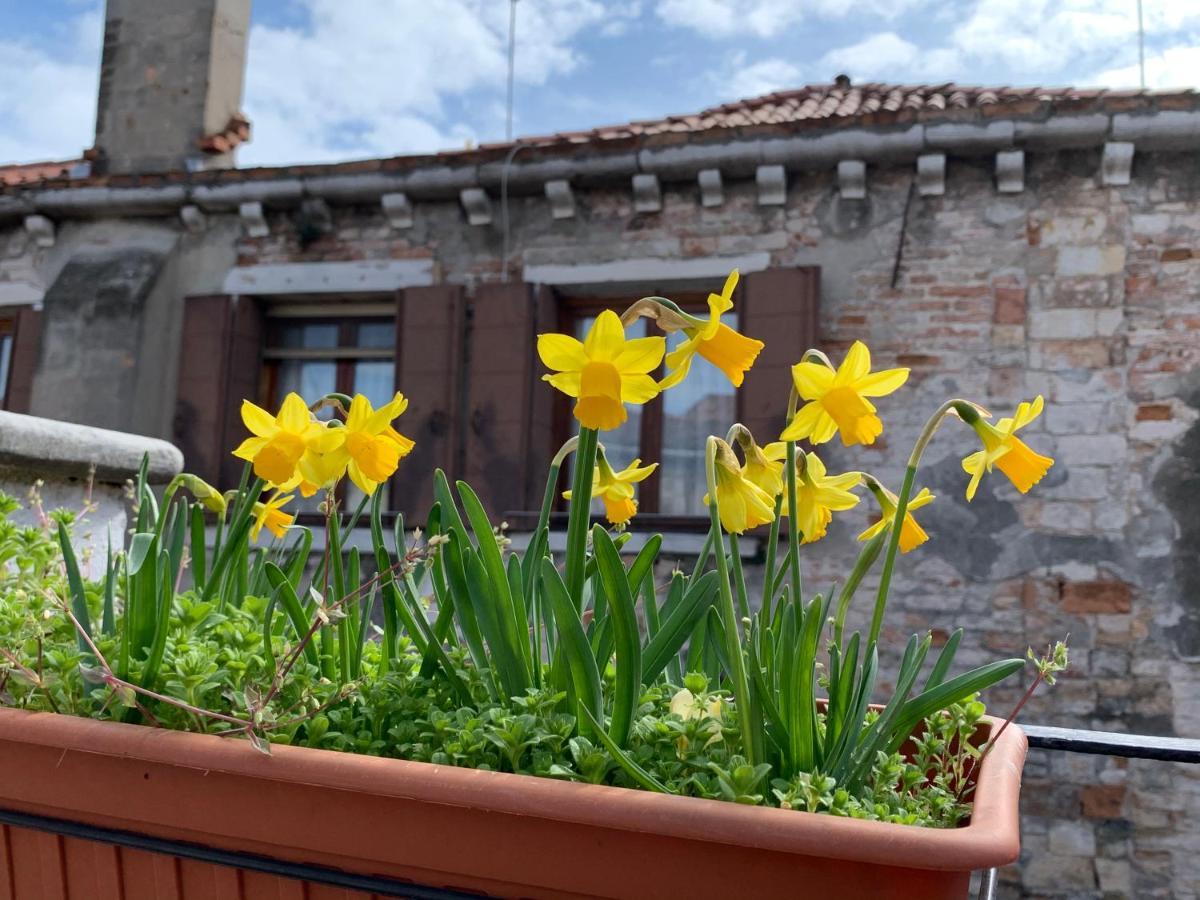 Rooftop Terrace Domus Dei Fabbri Venedig Eksteriør billede